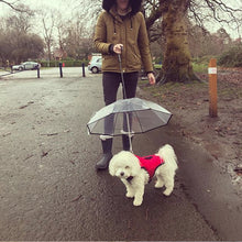 Dog's Transparent Umbrella With Traction Chain Removable Umbrella Pet Products