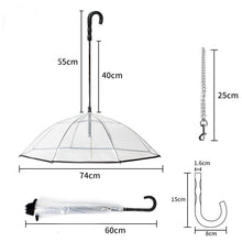 Dog's Transparent Umbrella With Traction Chain Removable Umbrella Pet Products