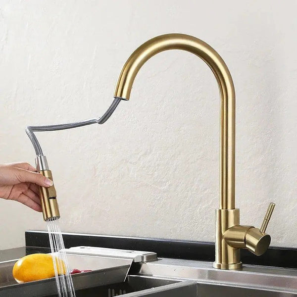 Stainless Steel Kitchen Pull-out Retractable Faucet