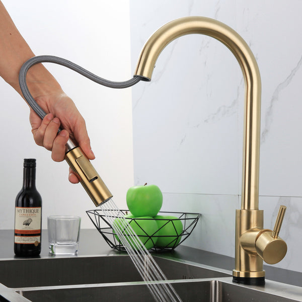 Stainless Steel Kitchen Pull-out Retractable Faucet